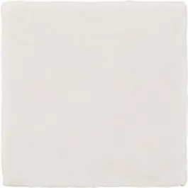 Alcoceram Malaga Blanco-Cristal 10x10 cm Express Levering