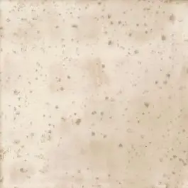 WOW Enso Nakama Ivory 12,5x12,5 Alleen Vandaag