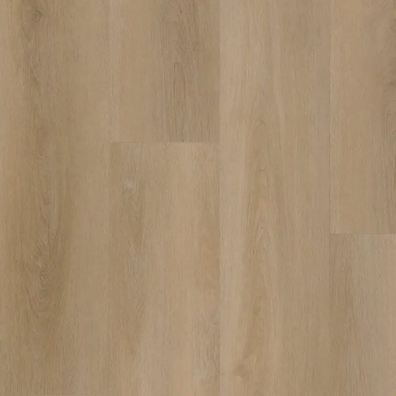 Laatste Versie Belakos ATTICO 810 | RIGID CLICK