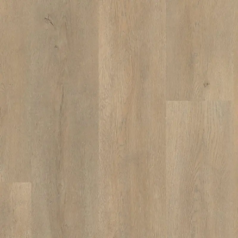 Belakos PALAZZO 710 | RIGID CLICK Shop Nu