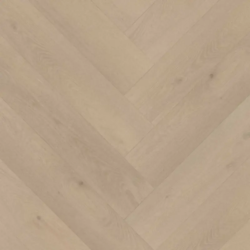 Belakos PALAZZO VISGRAAT XL 74 | RIGID CLICK Beperkt Aanbod