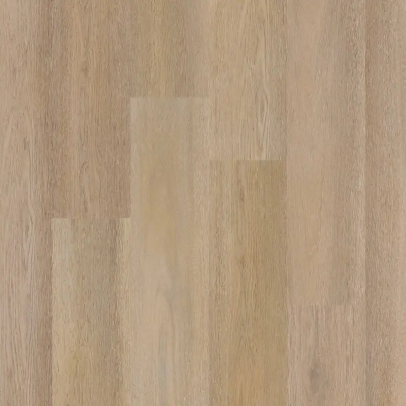 Betaalbaar Therdex PREMIER 15084