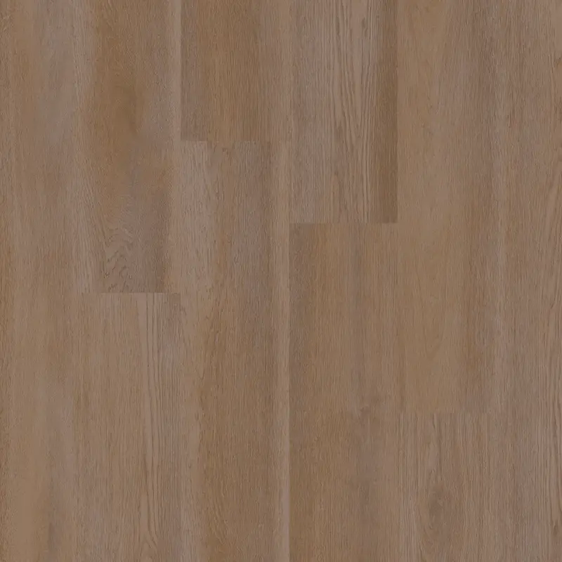 Betrouwbaar Therdex PREMIER C15085