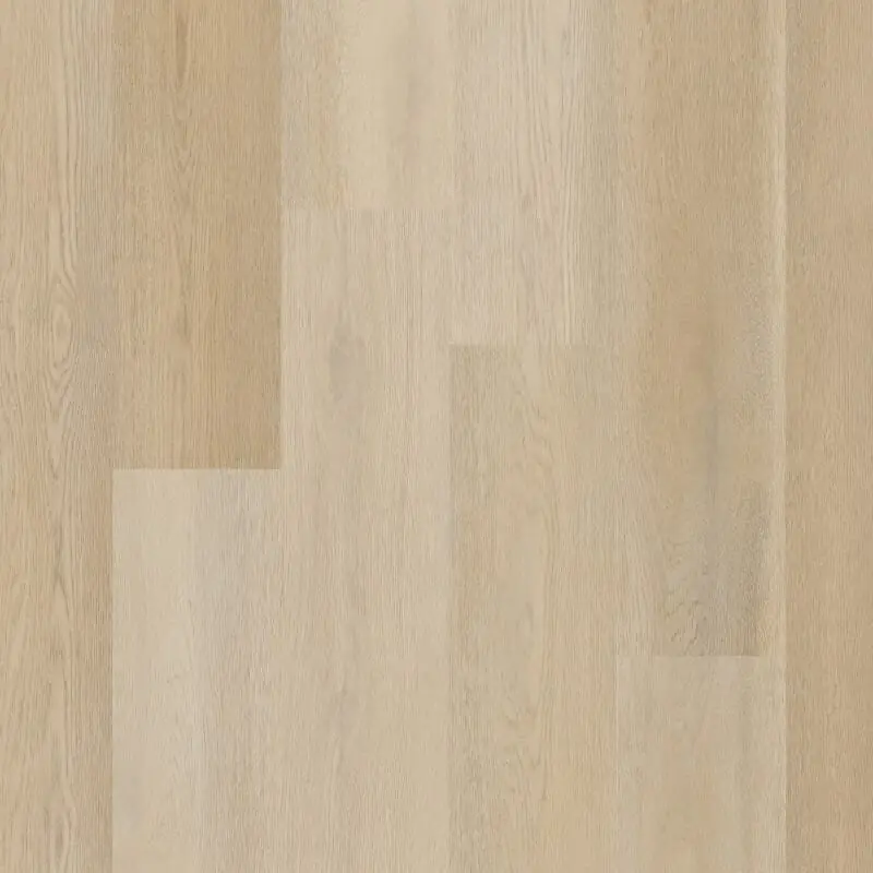 Therdex PREMIER C15082 Speciale Aanbieding
