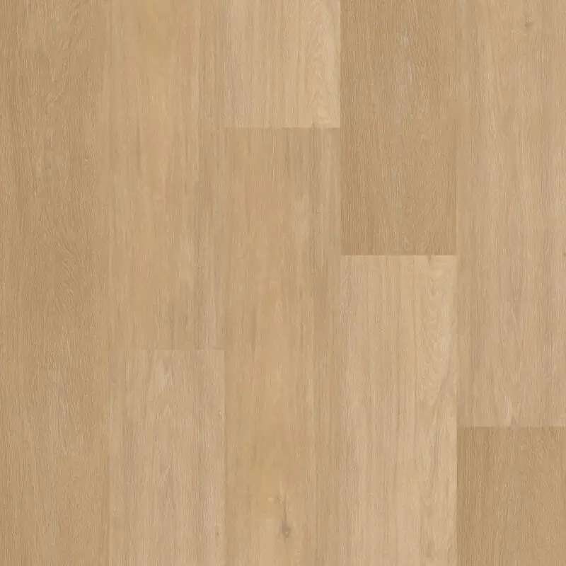 Uitverkoop Therdex CHEVRON C12041