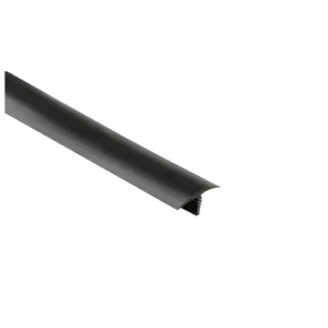 Hoge Kwaliteit Showerprofiel SchluterSPWSC16GS-300