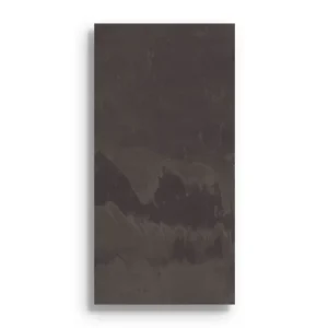 Veilige Betaling Vloertegel Aleluia Mustang Slate Black Rect 29,5 x 59,2