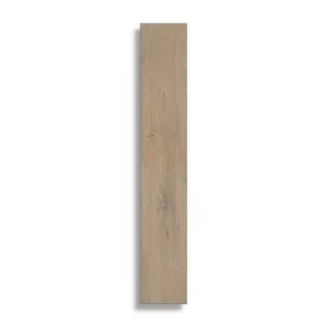 Gecertificeerd Vloertegel B&B Nordic Wood Elk 10 x 60