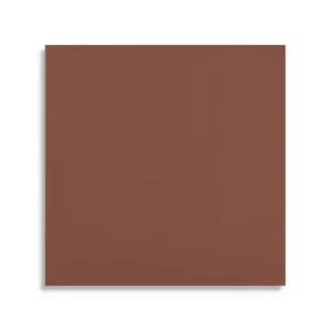 Bestseller vloertegel Bruin 10 x 10