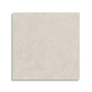 Dagaanbieding vloertegel Grijs 120 x 120