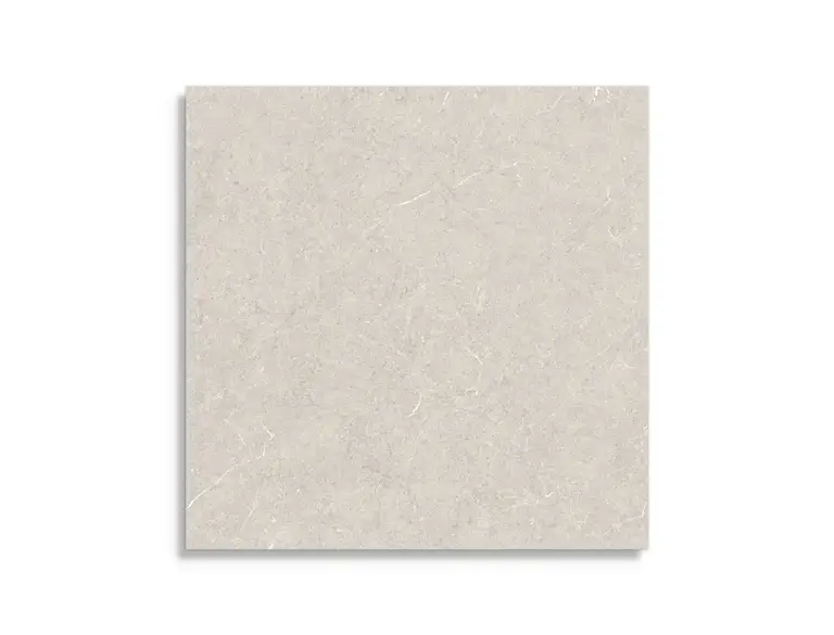 Dagaanbieding vloertegel Grijs 120 x 120