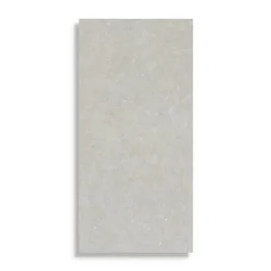 Beperkte Voorraad vloertegel Grijs 60 x 120