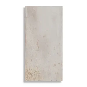 Koop Vandaag vloertegel Grijs 60 x 120