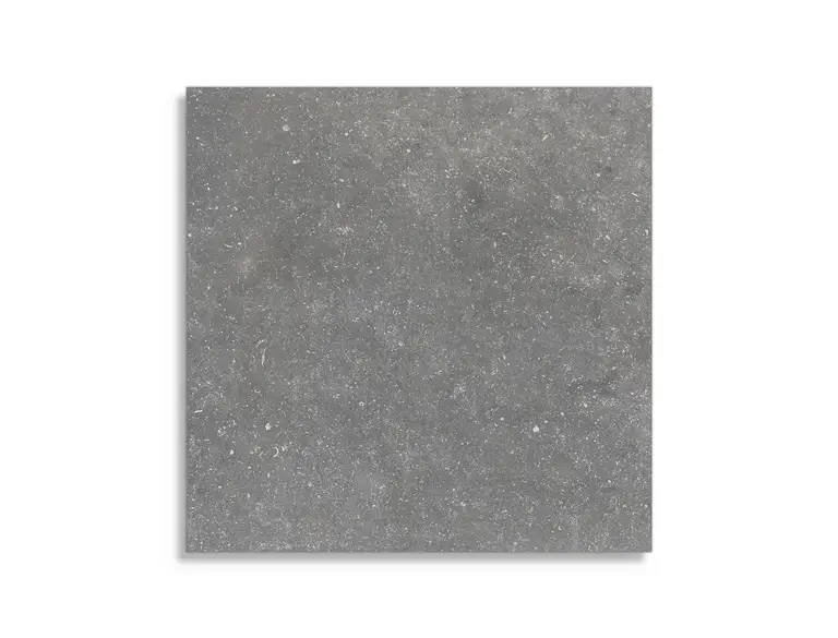 Dagaanbieding vloertegel Grijs 60 x 60