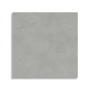 Betrouwbaar vloertegel Grijs 60 x 60