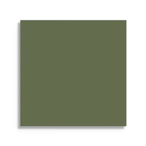 Op = Op vloertegel Groen 10.6 x 10.6