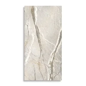 Lage Kosten vloertegel Multi 59.6 x 119.4