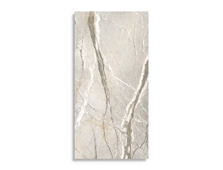 Lage Kosten vloertegel Multi 59.6 x 119.4