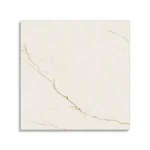 vloertegel Pamesa Velhira White Polido 60 x 60 Express Levering