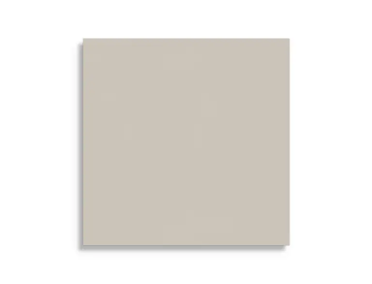 Gecertificeerd vloertegel Taupe 60 x 60