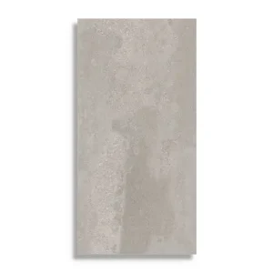 Express Levering Vloertegel vtwonen Raw Grey 60 x 120
