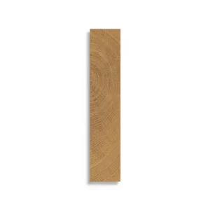 Alleen Vandaag vloertegel vtwonen Woodcirkle Walnutt 5 x 30
