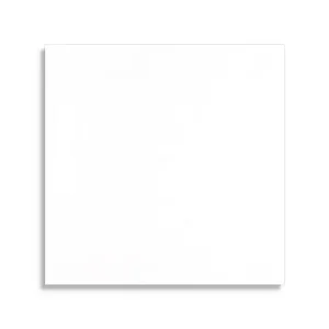Bestseller vloertegel Wit 10 x 10