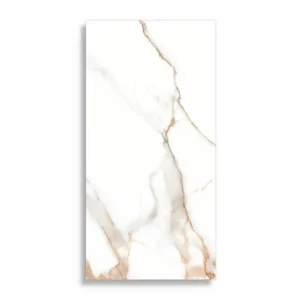 Vloertegels STN Lumiere Natural 60 x 120 Beste Prijs