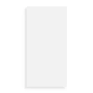 Express Levering Wandtegel Argenta Blanco Brillo 25 x 50