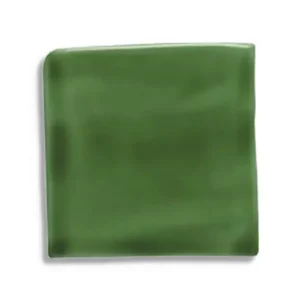 Alleen Vandaag wandtegel Groen 12.7 x 12.7