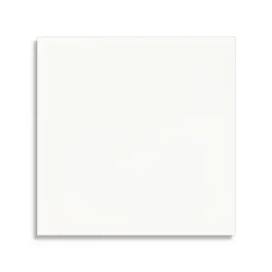 Weekendaanbieding wandtegel Wit 13.9 x 13.9