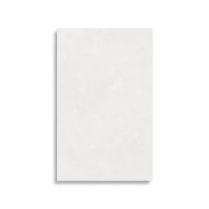 Betrouwbaar wandtegel Wit 25 x 40