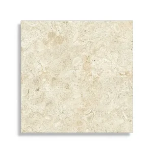 xxl tegel Beige 120 x 120 Op = Op