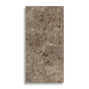 xxl tegel Bruin 60 x 120 Fabrieksprijs