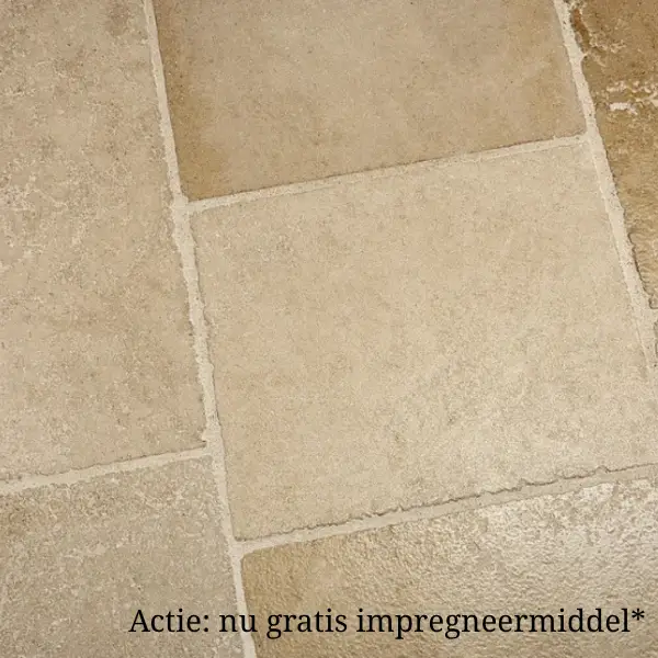 Korting Bourgondische dallen creme rustiek verouderd per m2