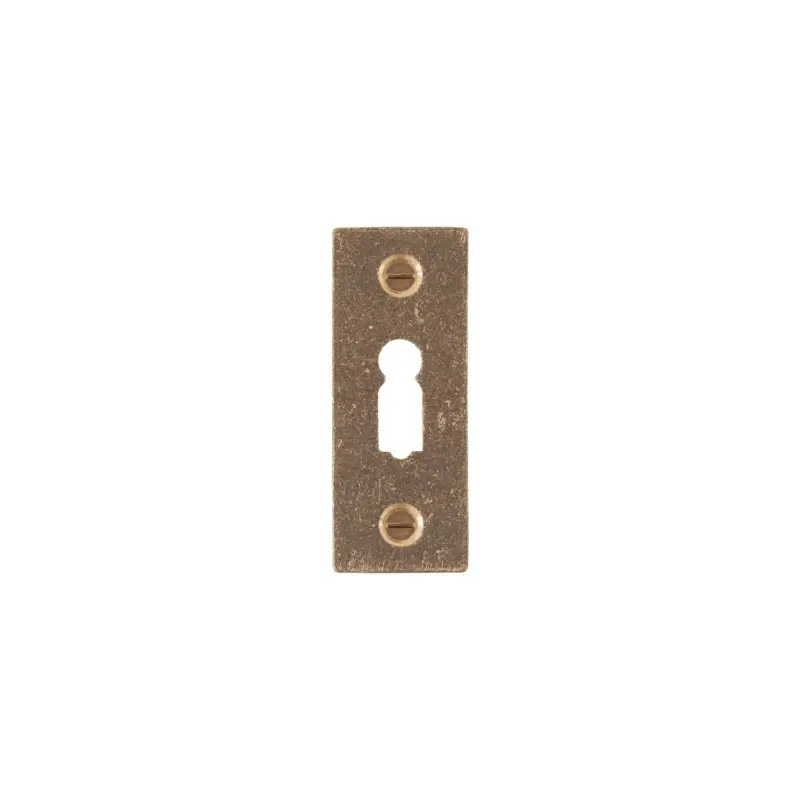 Dauby Pure Line sleutelrozet brons gepolijst 30X68mm per stuk Flitsaanbieding