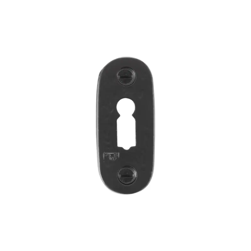 Hoge Kwaliteit Dauby Pure Line sleutelrozet verouderd ijzer - zwart 65X28Mm per stuk