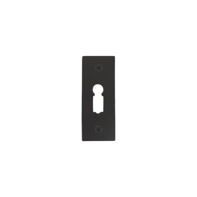Dauby Pure Line sleutelrozet verouderd ijzer - zwart30X68mm per stuk Seizoensaanbieding