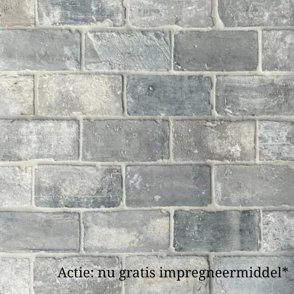 Flitsaanbieding Oude blauwe plavuizen parfeuilles23 x 11,5 cm per m2