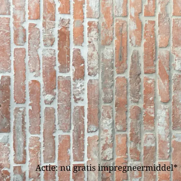 Bestel Nu Oude rode Waaltjes22,5 x 4,8 cm per m2