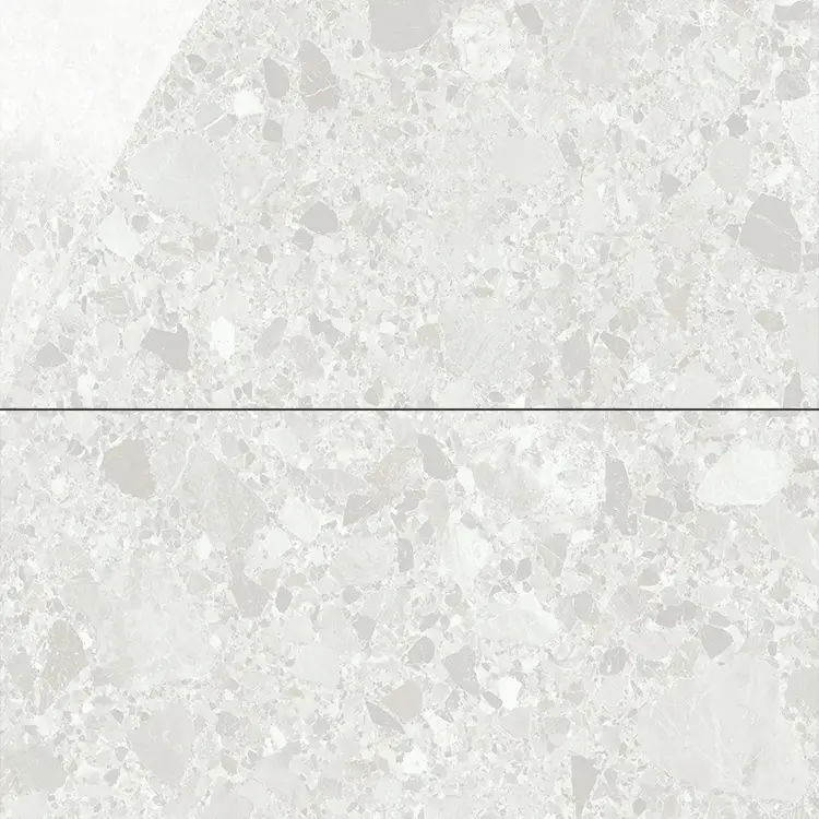 Favoriet Vloertegel – Wandtegel Inlay licht grijs terazzo gepolijst 60×120 gerectificeerd R9