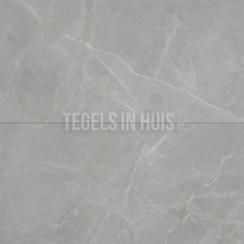Vloertegel – Wandtegel Marble S licht grijs gepolijst 60×120 gerectificeerd Speciale Aanbieding