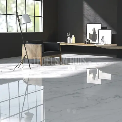 Hete Deal Vloertegel / wandtegel Viter marmer grijs 120×120 gepolijst gerectificeerd (min afname 14.4 m2) Beperkt beschikbaar