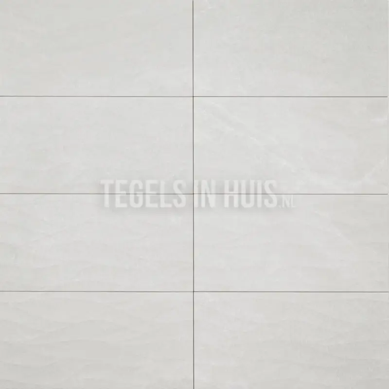 Wandtegel Pietra Bo decor wit mat 25×50 Snelle Levering