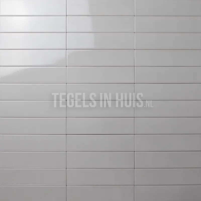 Shop Nu Wandtegel Costa Nova grijs glans 5×20 ideaal voor visgraat