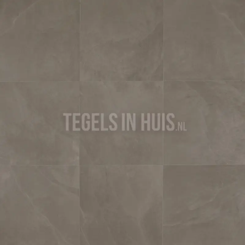 Nu Kopen Vloertegel – Wandtegel Slate G mink 60×60 (58,5×58,5) gerectificeerd R10