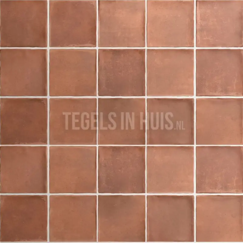 Vloertegel – Wandtegel Argile terracotta cotto rood 10×10 R9 Superprijs