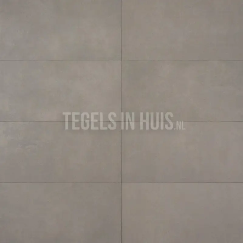Gecertificeerd Vloertegel – Wandtegel Plus Taupe 30×60 R10 gerectificeerd
