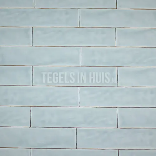 Beperkt Aanbod EQ Langwerpige witjes 7,5×30 cm handvorm wandtegel Aqua blauw glans