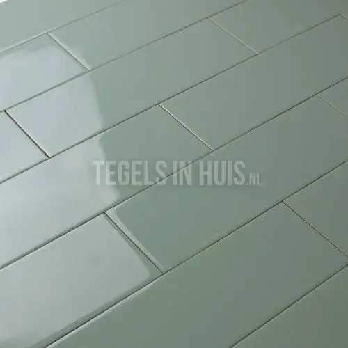 Wandtegel 10thirty 10×30 cm oud grijs groen glans Snelle Levering